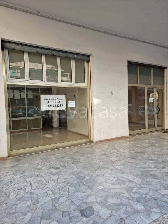 trivano in affitto ad Imperia in zona Porto Maurizio