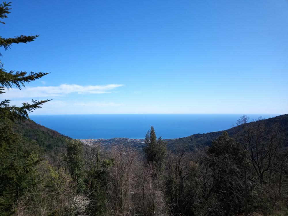 appartamento in affitto a Sanremo in zona San Romolo