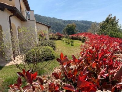 appartamento in affitto a Vallebona
