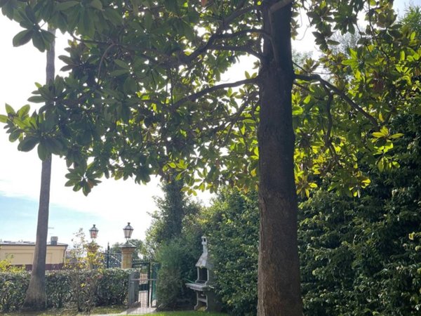 appartamento in affitto ad Alassio