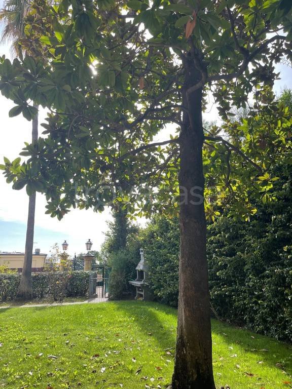 appartamento in affitto ad Alassio