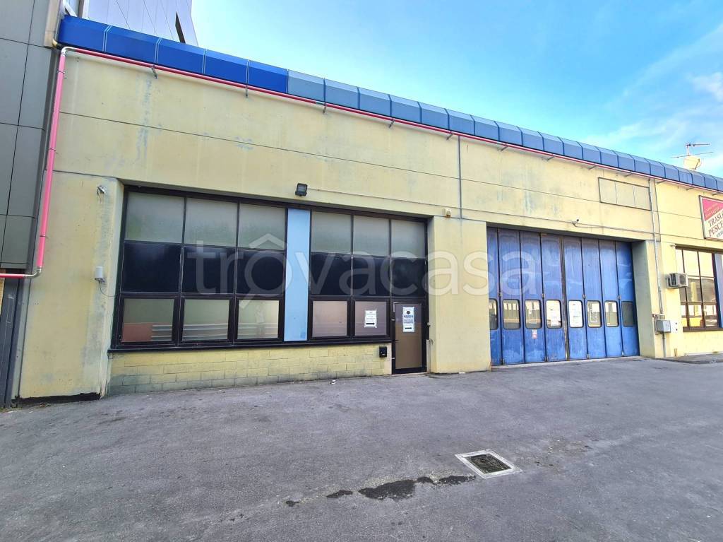 locale commerciale in affitto ad Albenga