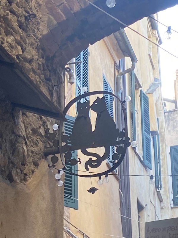 negozio in affitto ad Albenga