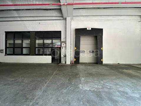 locale commerciale in affitto ad Albenga