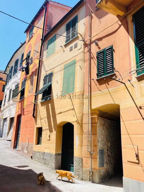 appartamento in affitto ad Albisola Superiore