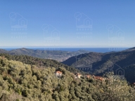 appartamento in affitto ad Andora