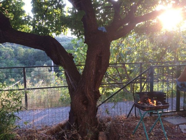 appartamento in affitto a Boissano