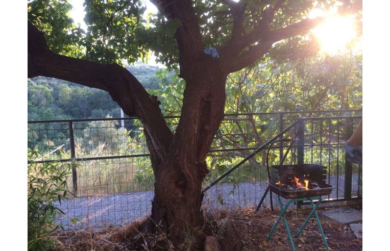 appartamento in affitto a Boissano