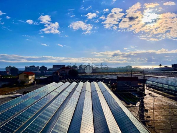 appartamento in affitto a Ceriale