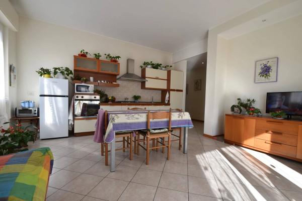 appartamento in affitto a Loano
