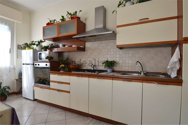 appartamento in affitto a Loano