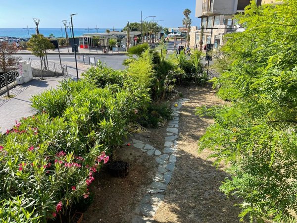 appartamento in affitto a Pietra Ligure