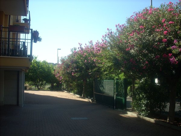 appartamento in affitto a Pietra Ligure