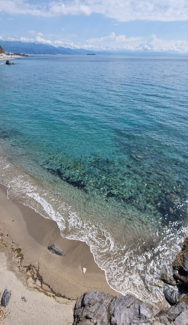 appartamento in affitto a Savona