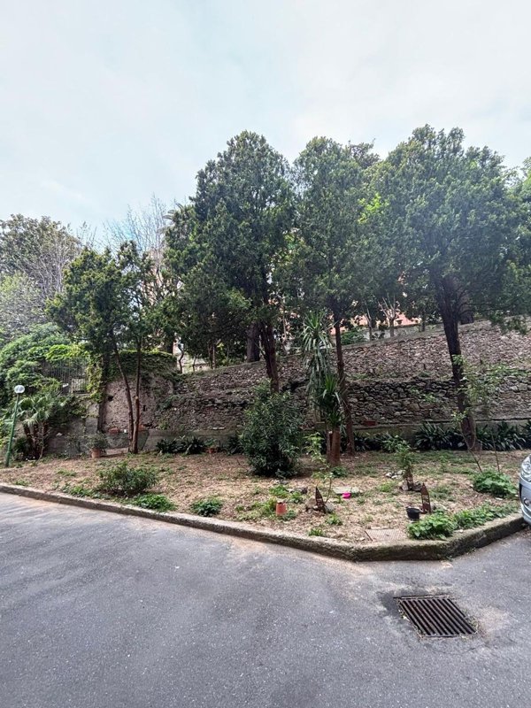 appartamento in affitto a Savona