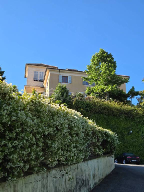 appartamento in affitto a Savona