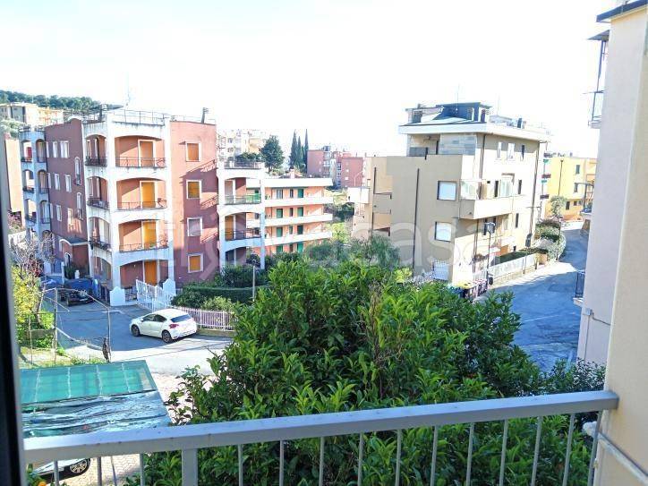 appartamento in affitto a Spotorno