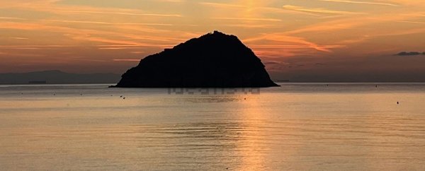 appartamento in affitto a Spotorno