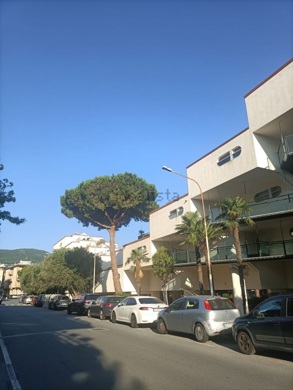 appartamento in affitto a Spotorno