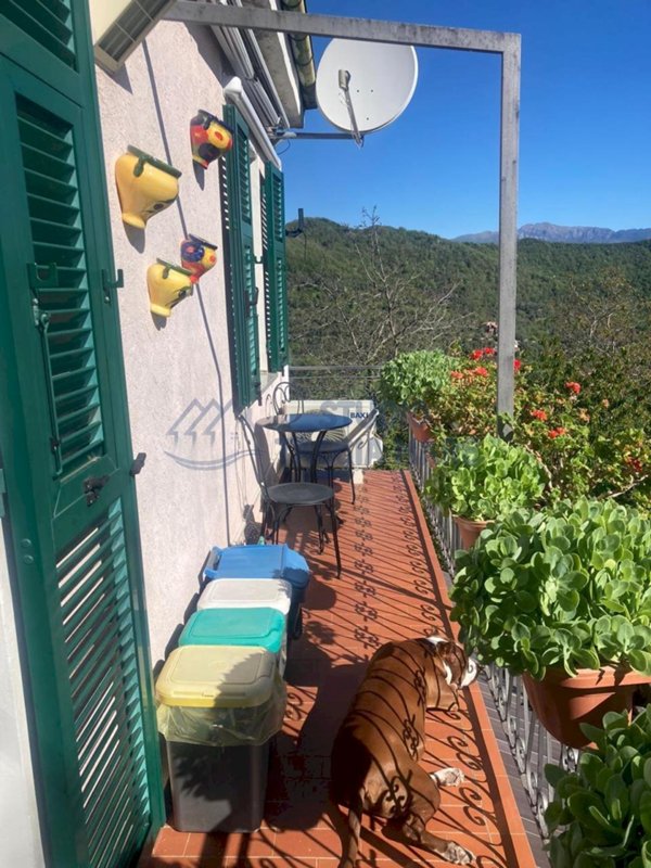 casa indipendente in affitto a Testico