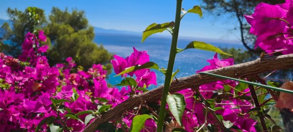 appartamento in affitto a Varazze