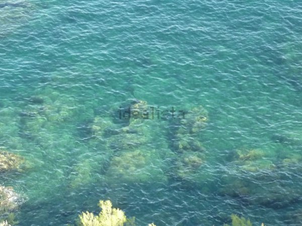 appartamento in affitto a Varazze