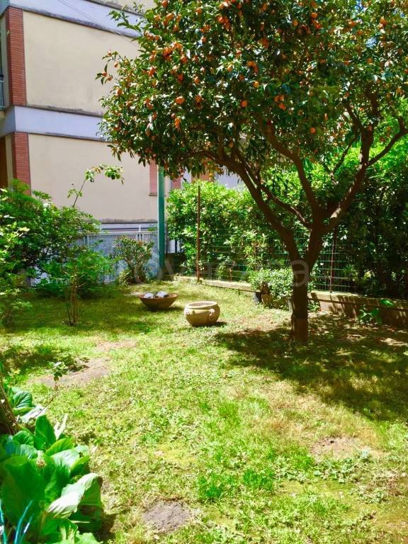 appartamento in affitto ad Arenzano in zona Terralba
