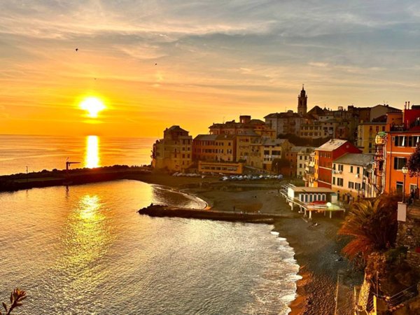 appartamento in affitto a Bogliasco