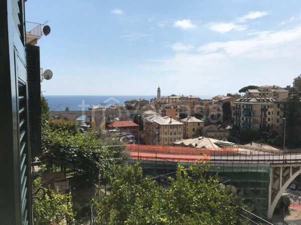 appartamento in affitto a Bogliasco