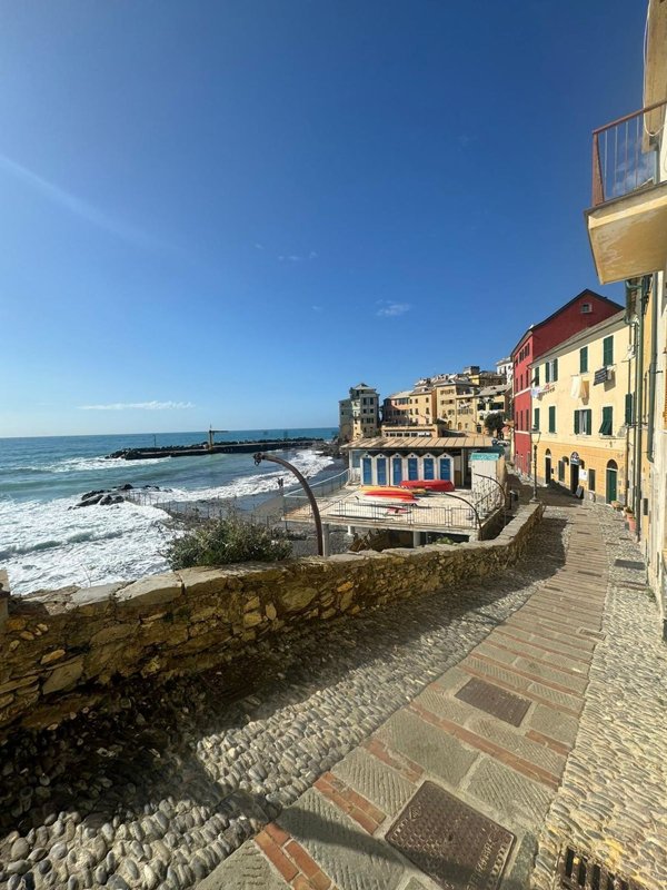 appartamento in affitto a Bogliasco