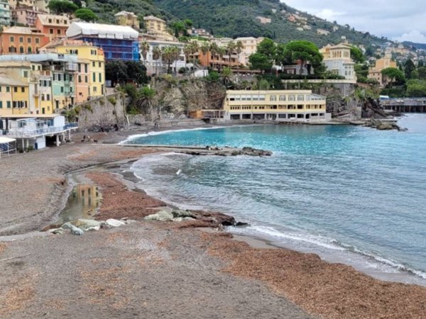 appartamento in affitto a Bogliasco