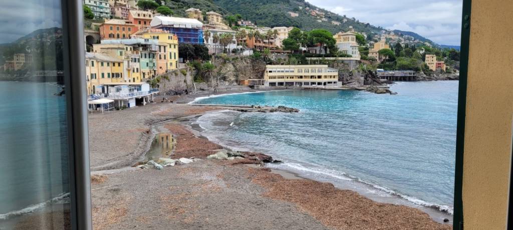 appartamento in affitto a Bogliasco