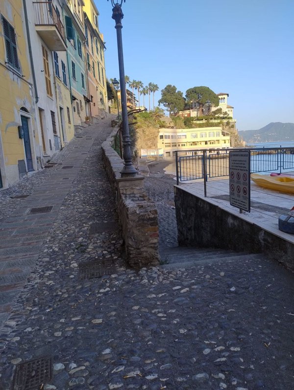 appartamento in affitto a Bogliasco