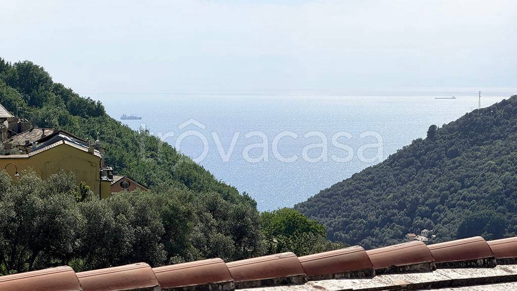 appartamento in affitto a Bogliasco
