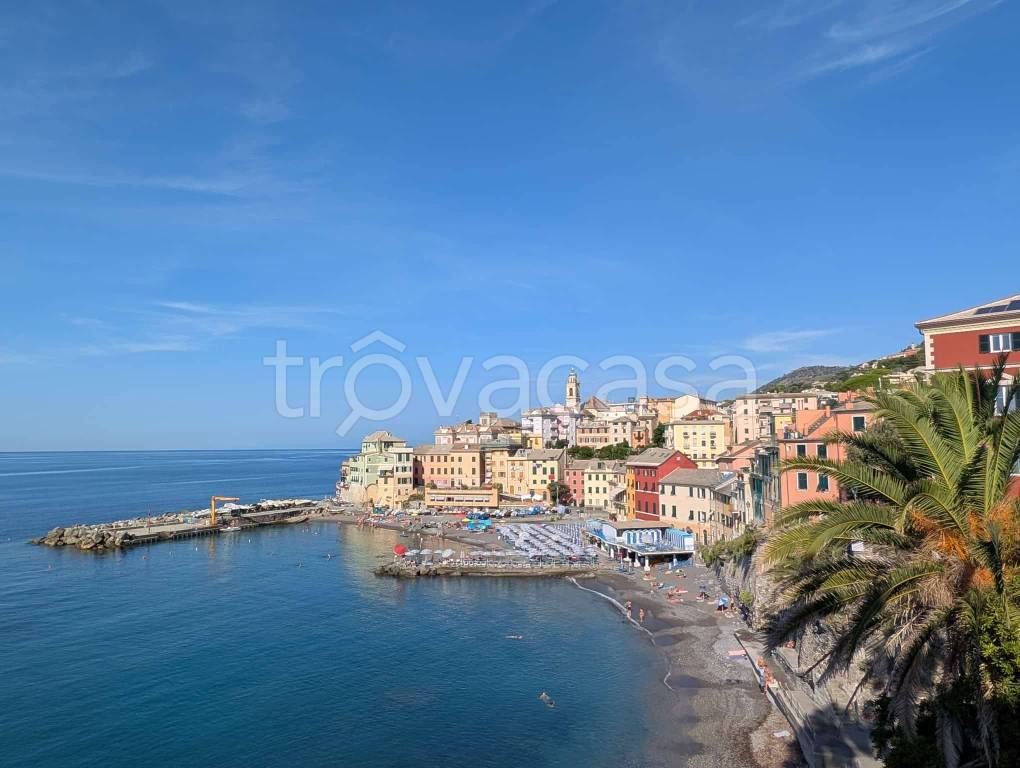 appartamento in affitto a Bogliasco in zona Sessarego