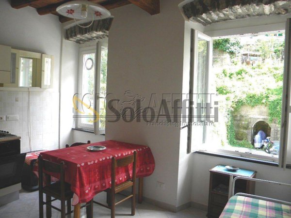 appartamento in affitto a Borzonasca