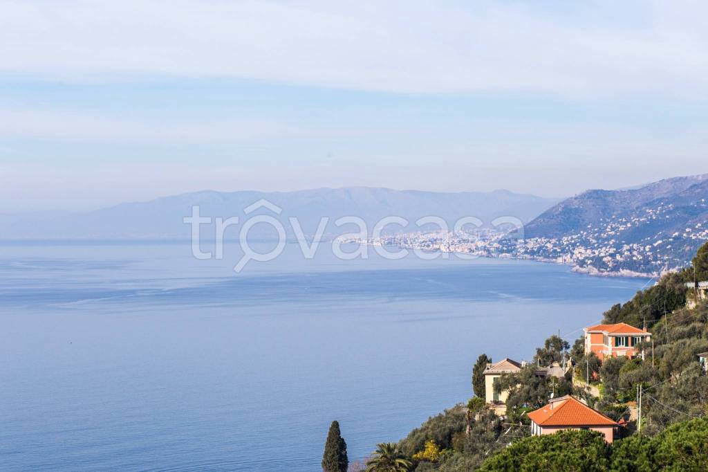 appartamento in affitto a Camogli in zona Ruta