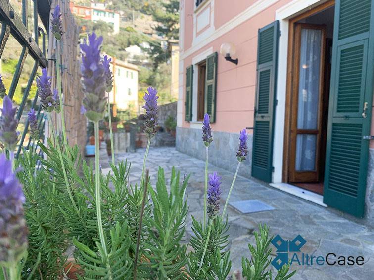 appartamento in affitto a Camogli
