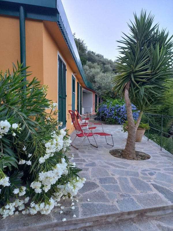 appartamento in affitto a Camogli