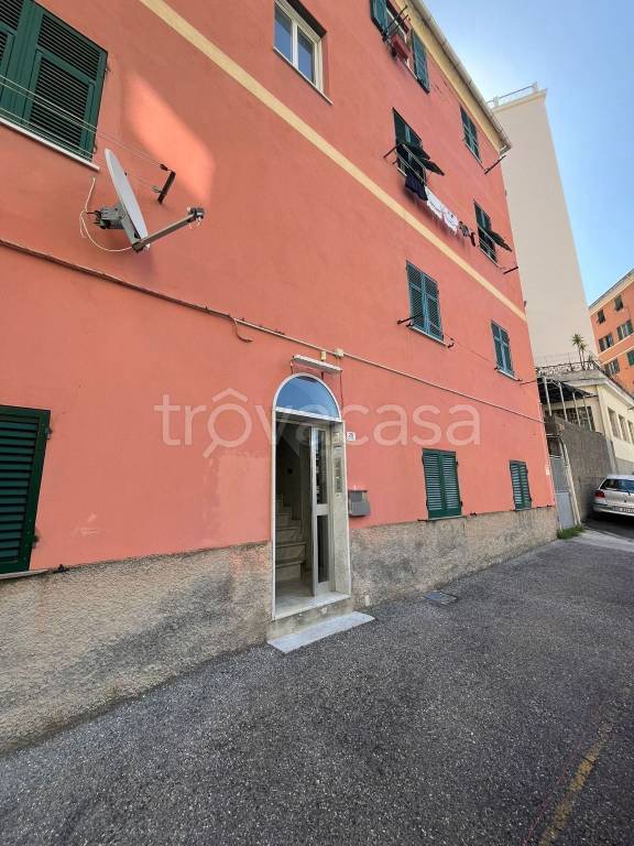 appartamento in affitto a Camogli in zona San Fruttuoso