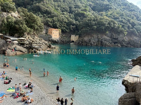 appartamento in affitto a Camogli in zona San Fruttuoso