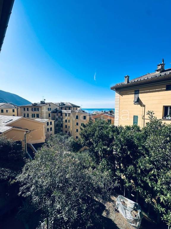 appartamento in affitto a Camogli
