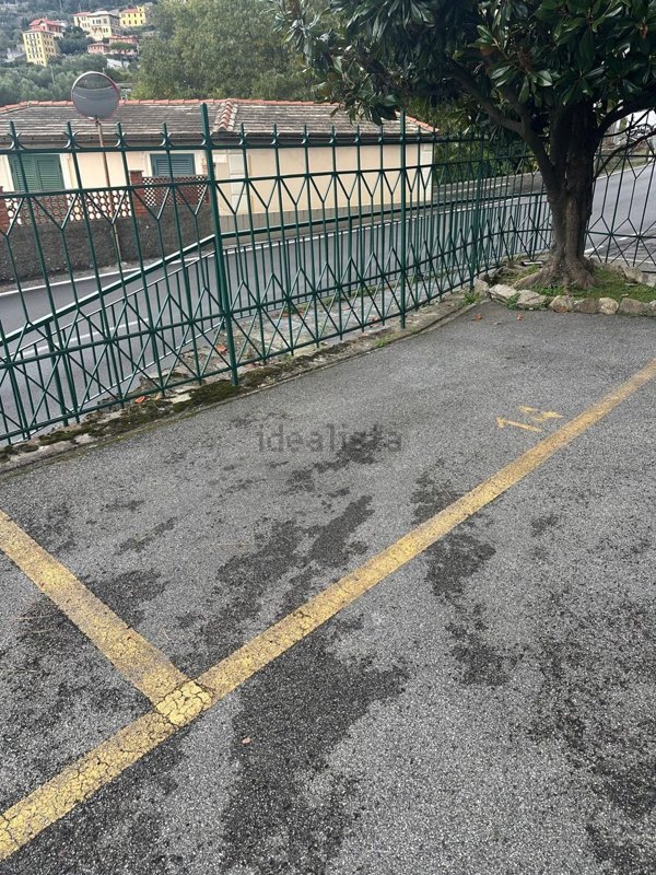 appartamento in affitto a Camogli