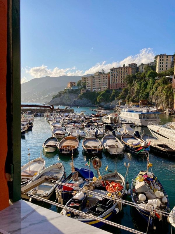 appartamento in affitto a Camogli