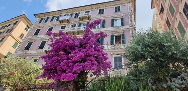 appartamento in affitto a Camogli