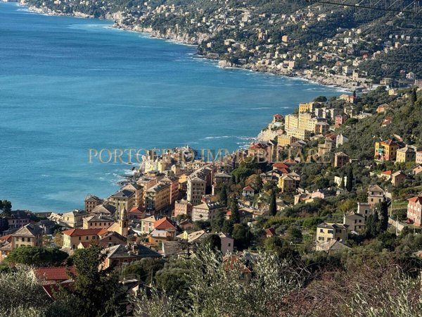 casa indipendente in affitto a Camogli in zona Ruta