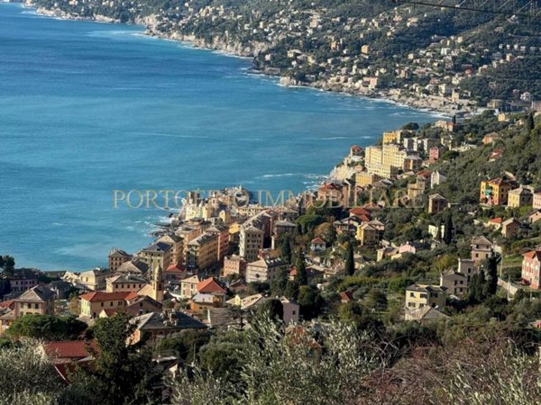 casa indipendente in affitto a Camogli in zona Ruta