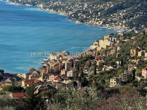 casa indipendente in affitto a Camogli in zona Ruta