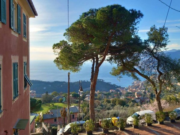 appartamento in affitto a Camogli in zona Ruta