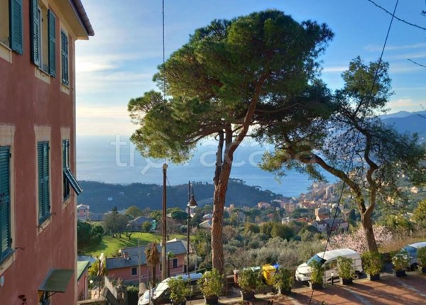 appartamento in affitto a Camogli in zona Ruta